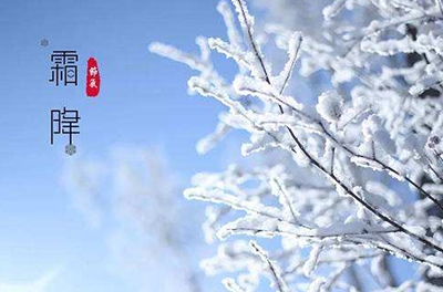 葉落草枯，秋晚凝霜